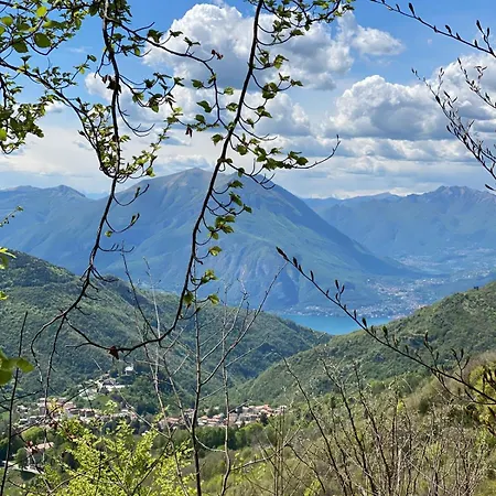 Appartement Casa Aurea *